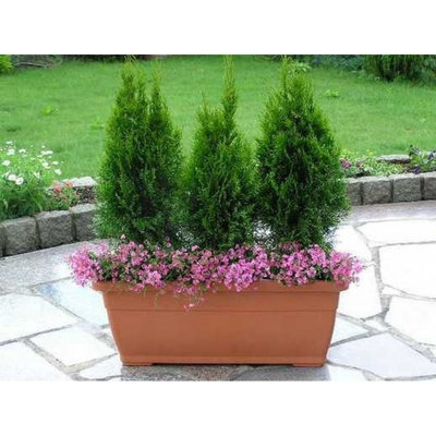 Person Planter Box