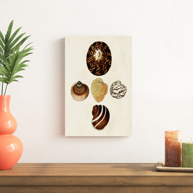 Knorr Shells V par G.W. Knorr - peinture sur toile tendue, H 18 po x l 12 po