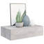 Howarth Floating Shelf with Drawer-183628875