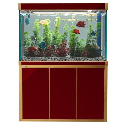 Rectangle Aquarium Tank