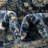 Alesund Oriental Indoor Rug-71265329