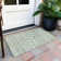 Machine Washable Indoor/Outdoor Xhevrie Aloe Rug
