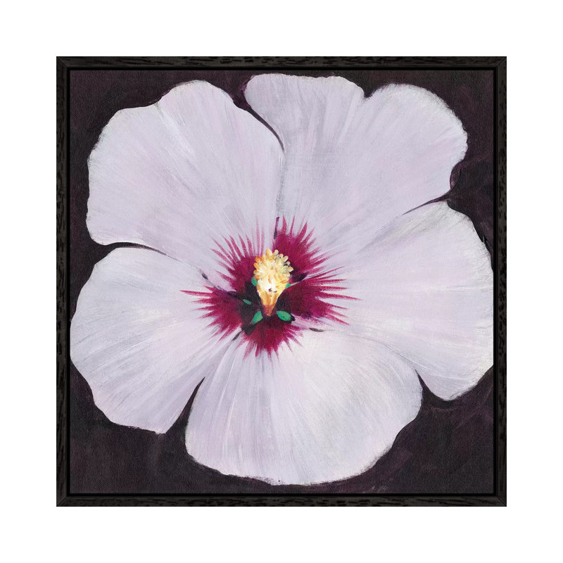 Hibiscus Portrait II by Tim OToole - Gallery-Wrapped Canvas Giclée on Canvas, Black Framed, 66.04 cm H x 66.04 cm W