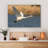 Swan Flying over Water-227246662