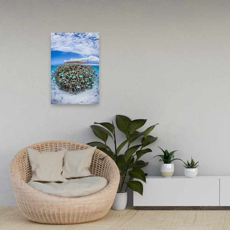 Tropical Coral Split View Serene Tranquil Vibrant Fish Nature Ocean Wall Art Print 1 Piece Wrapped Canvas Wall Art