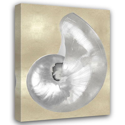 Beachcrest Home™ Kelly, Caroline Gallery Wrapped Canvas Art Titled: Silver Pearl Shell on Gold I