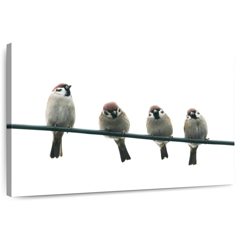 Friendly Little Birds