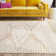 Hepfer Polyester Shag Rug