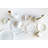 Cutlery Bone China Coffee Cup