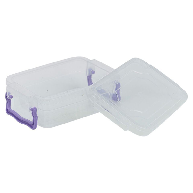 Feemster 300ml Food Storage Container