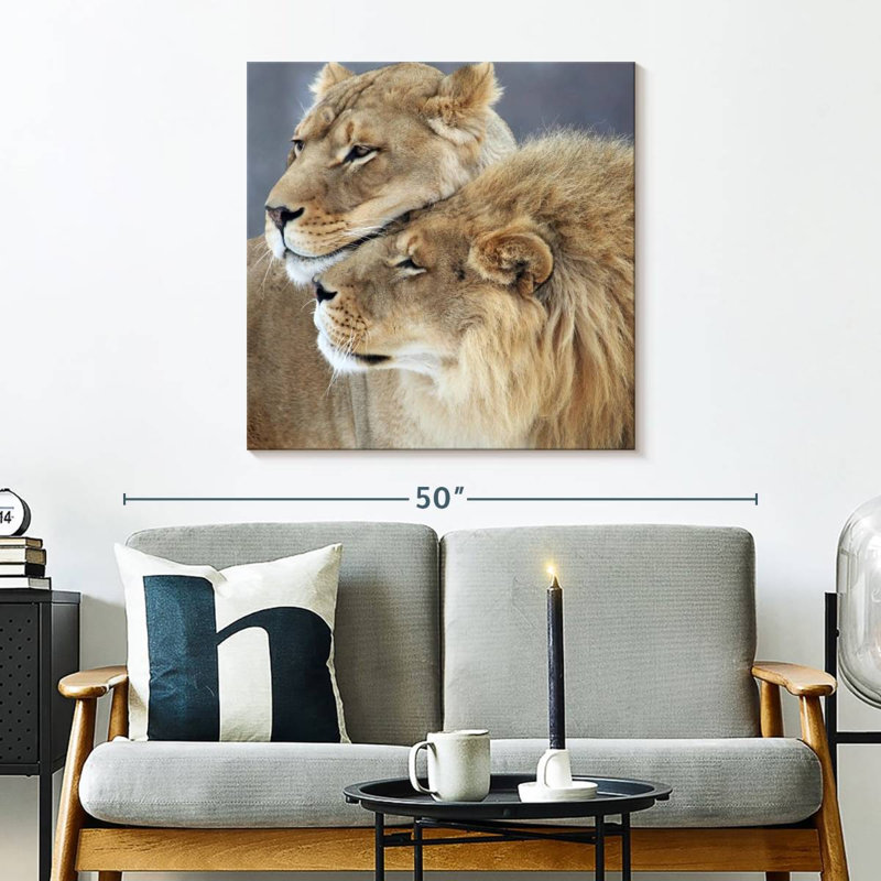 Amour de lion et de lionne Brampt, H 30 po x l 30 po