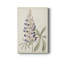 Antique Botanical Collection II - reproduction-1374588850