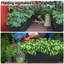 Jardinières de fenêtre, ensemble de 10 jardinières en plastique pour légumes et fleurs, noires