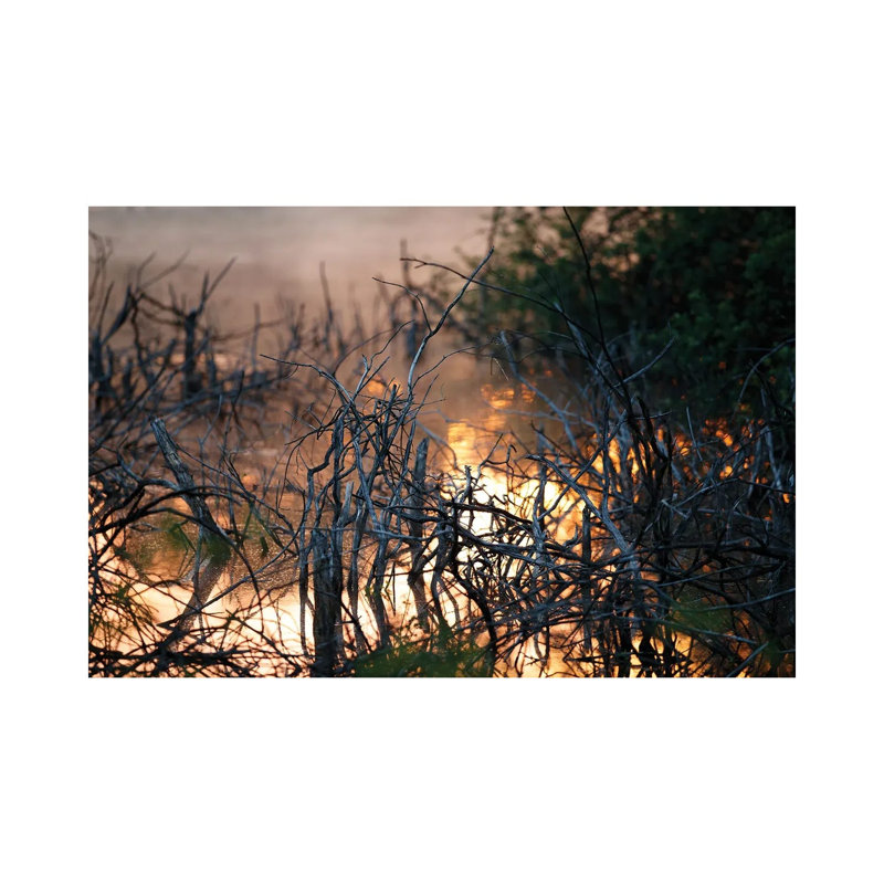 Mangroves At Sunrise by Mateusz Piesiak - Wrapped Canvas Print