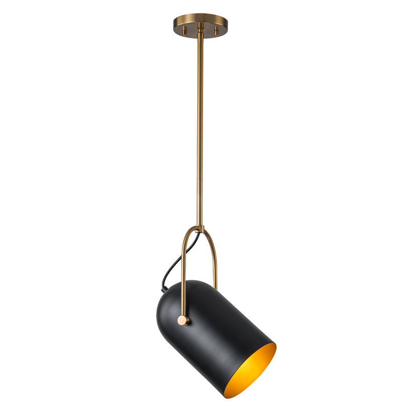 Luminaire suspendu simple à 1 lumière Gulcan