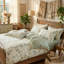 Cotton Bedding