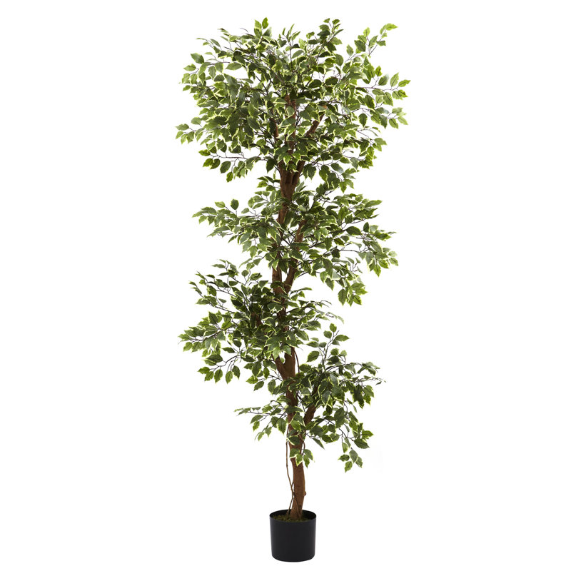 66'' Faux Ficus Tree in Pot