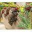 Boan Animals UV Resistant Stone Garden Statue