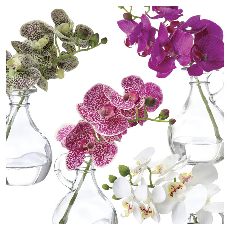 Arrangement floral orchidées phalaopsis en pot