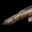 Glissade Steel LED Armed Sconce-1074523562