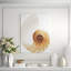 Sea Shell In White II Print by Sofia Fox-26931664-26931660