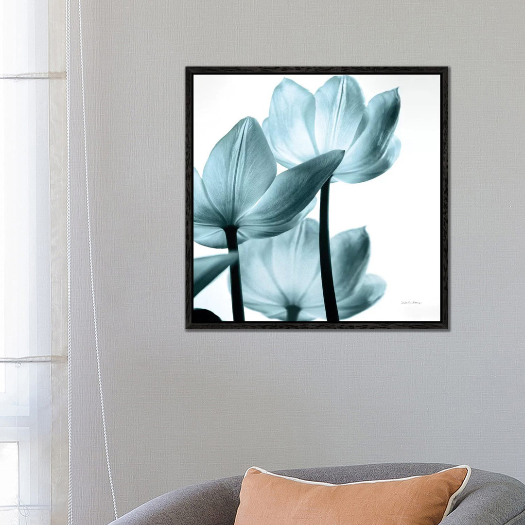 Transluzente Tulpen III in Aqua von Debra Van Swearingen - Galerie-verpackte Leinwand Giclée auf Leinwand