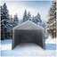 Abri pour voiture 12 x 20 pieds