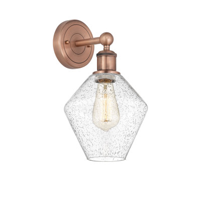 Amylea Steel Armed Sconce