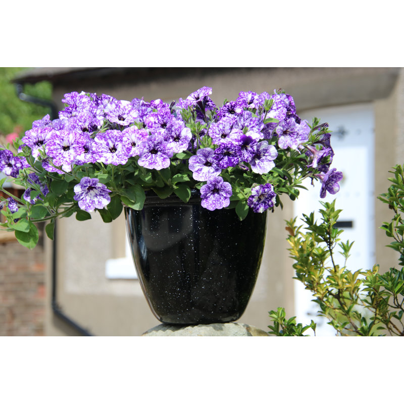 Sundhya Pot Planter, Black Gloss, 10.5 x 13 x 13
