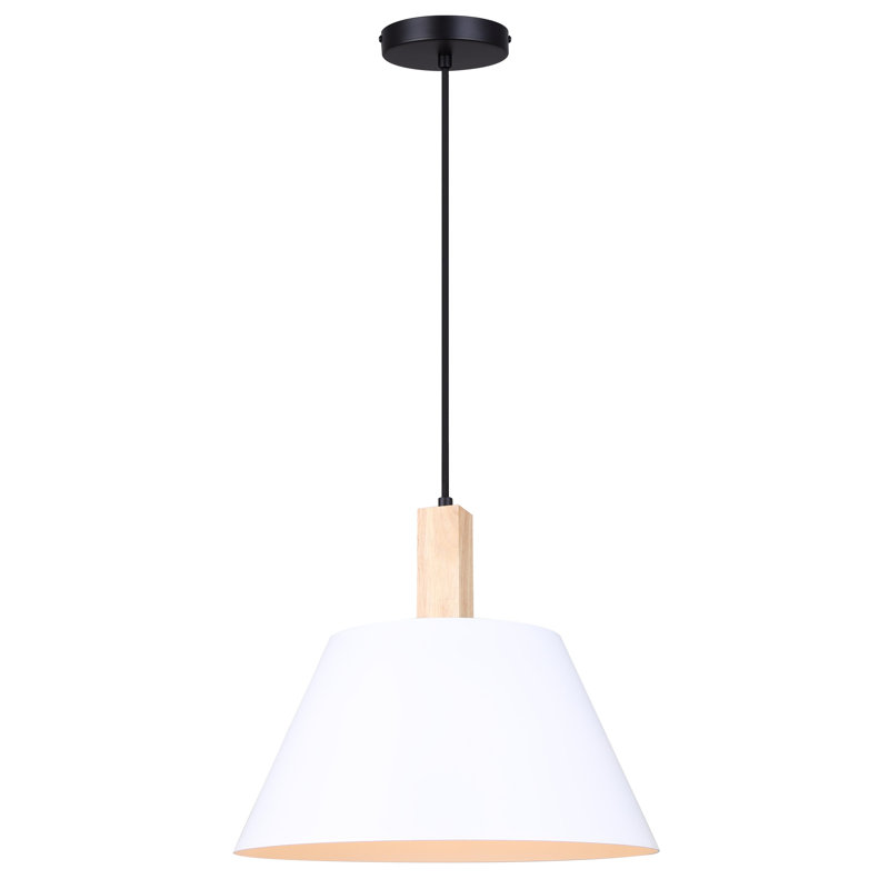 1 - Light Black/White/Wood Cone Pendant