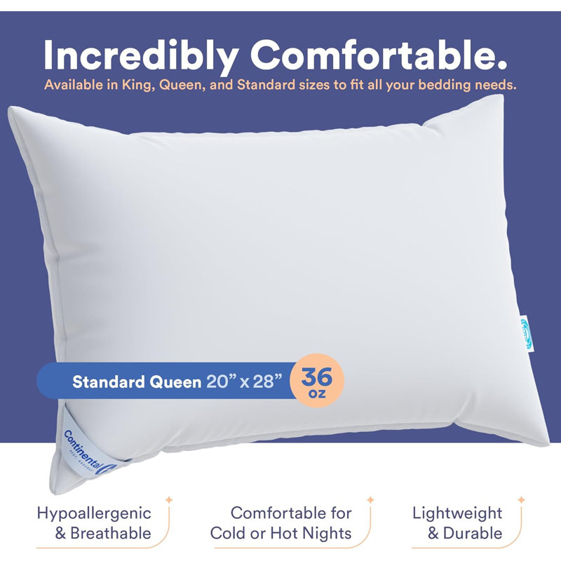 Cotton Indoor/Outdoor Pillow Insert (Pack of 1), 50% Down / 50% Feather