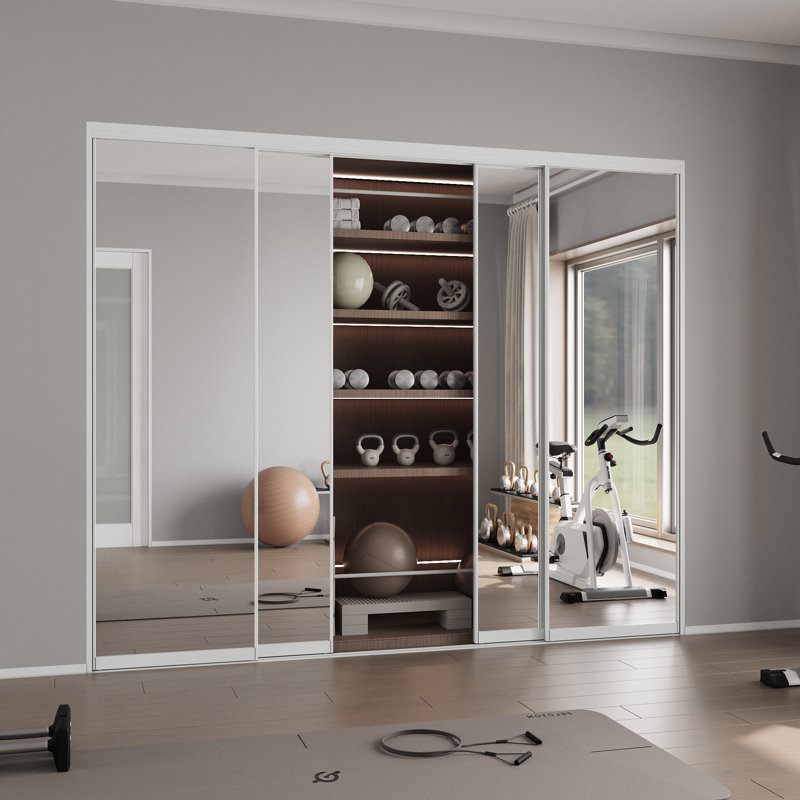 Double Aluminlum Mirror 80'' Single Glass Pane Metallic Sliding Closet Doors, 96" x 80"