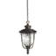 Uxbridge Outdoor Hanging Lantern