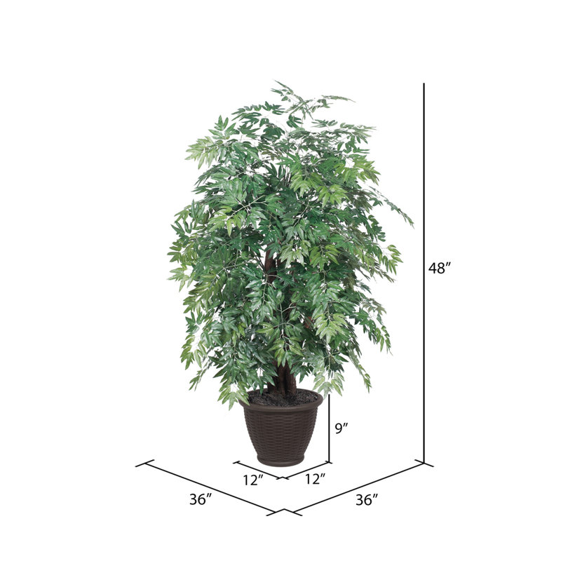 Série artificielle Ming Aralia Extra Full, Brun