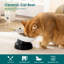 Slow Feeder-124884140