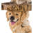 22"H Playful Puppies Birdbath