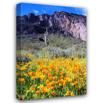 Art sur toile tendue par Millwood Pines Taylor, Douglas Gallery, Picacho Peak Wildflowers