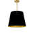 Black/Gold