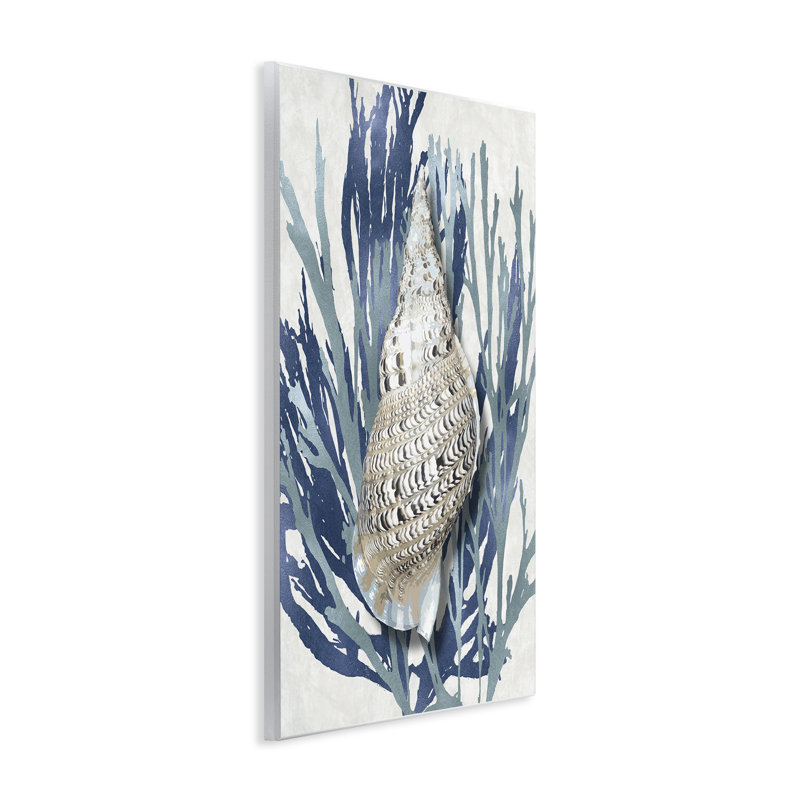 «Shell Coral Blue Beach» par Caroline Kelly - reproduction d'art, H 15 po x l 10 po