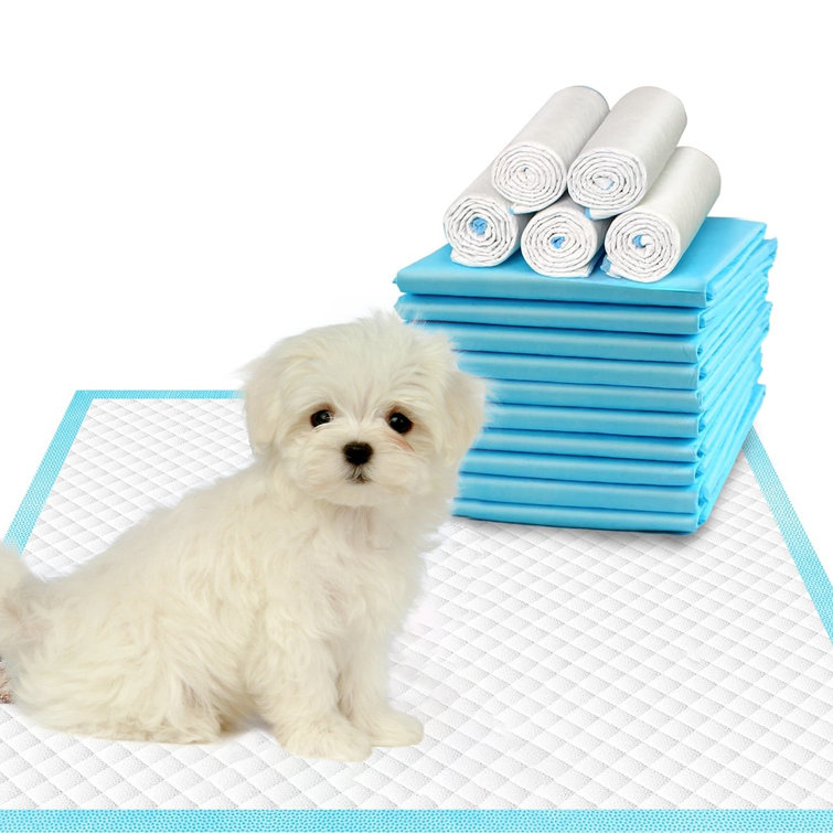 Puppy Potty Training Pet Pads Dog Diaper Disposable Super Absorbent an –  KOL PET