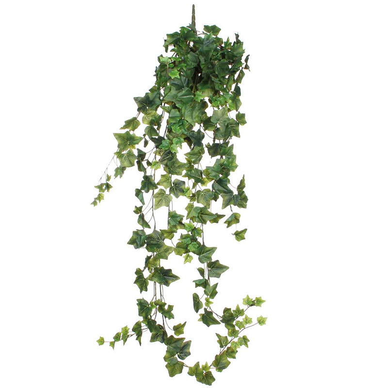 129cm Ivy Plant