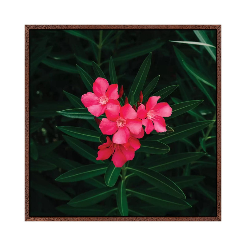 Florida Blooms II 1 Piece Wall Art on Canvas, 93.98cm H x 93.98cm W x 3.81cm D, Classic Brown Wood Framed
