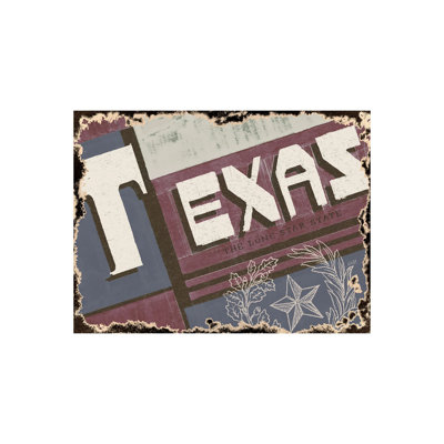 Texas by Alarm a Hand Embelished Textured Canvas