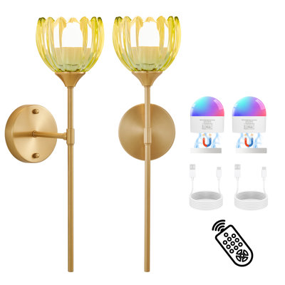 Applique murale magnétique rechargeable, lumière à DEL à intensité variable avec télécommande, 12 couleurs RVB, 3 couleurs, minuterie