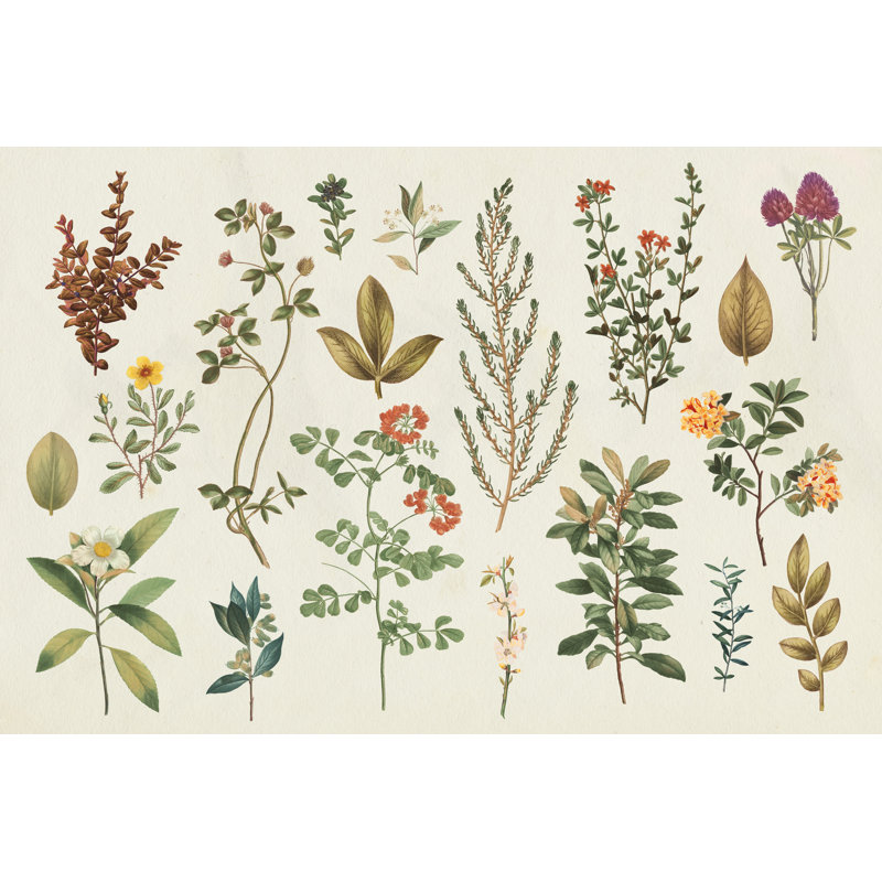 Victorian Garden III Autumn, H 12 po x l 8 po x P 1,25 po