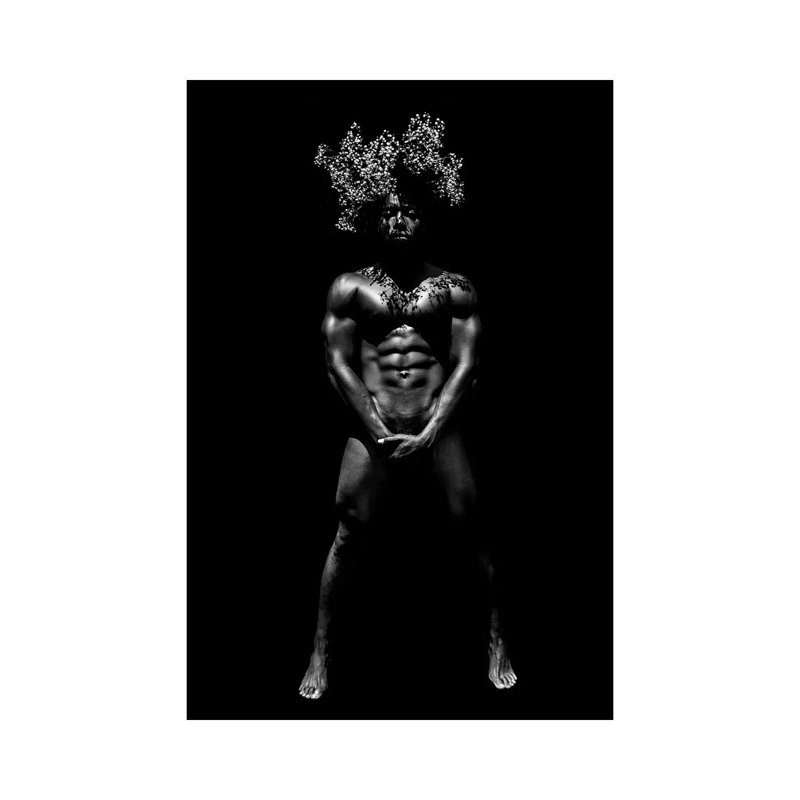 «Flower Crown» par Gregory Prescott - reproduction de photo sur toile tendue, 12" H x 8" W x 0.75" D
