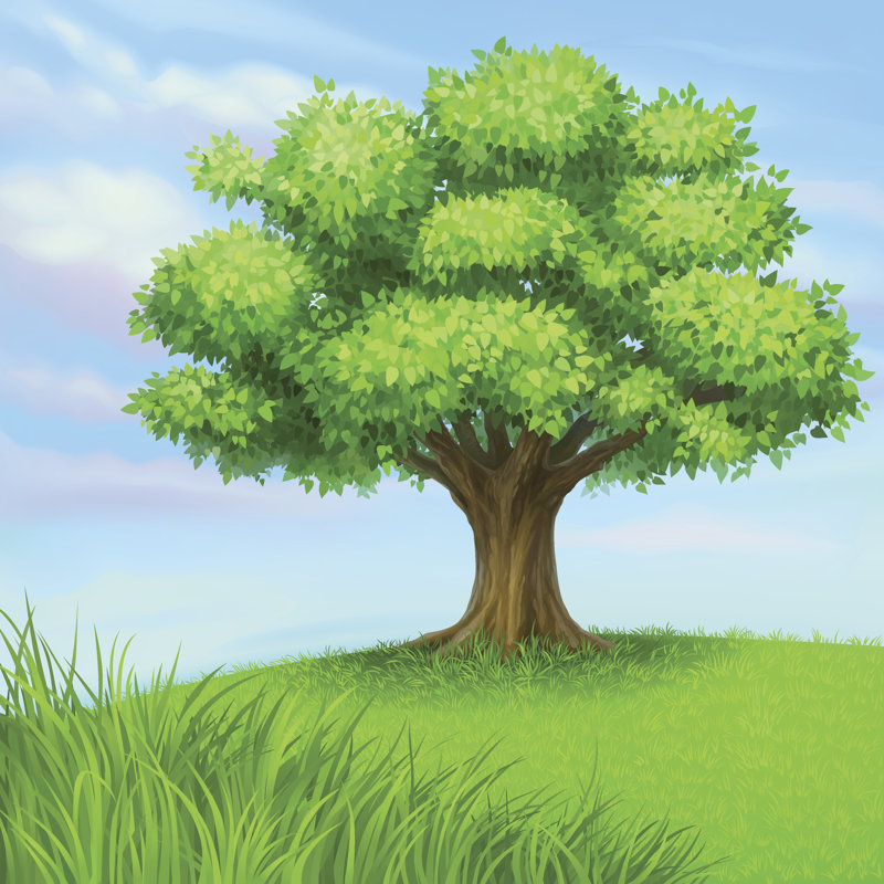 «Summer Tree» par Hisunnysky - impression sur toile tendue, L 20 po x H 20 po