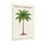 Plantes et fleurs, impression botanique d'acajou africain-439140108