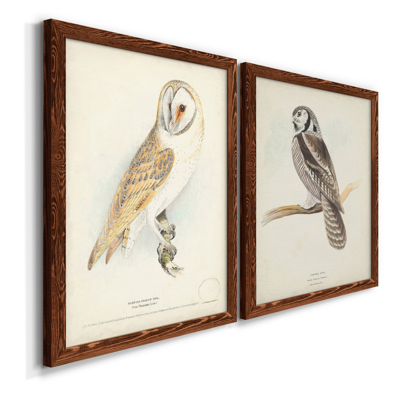 Toile encadrée de qualité supérieure Barn Owl - prête à être accrochée, Toile avec cadre noyer, H 20 po x l 34 po x P 1,5 po