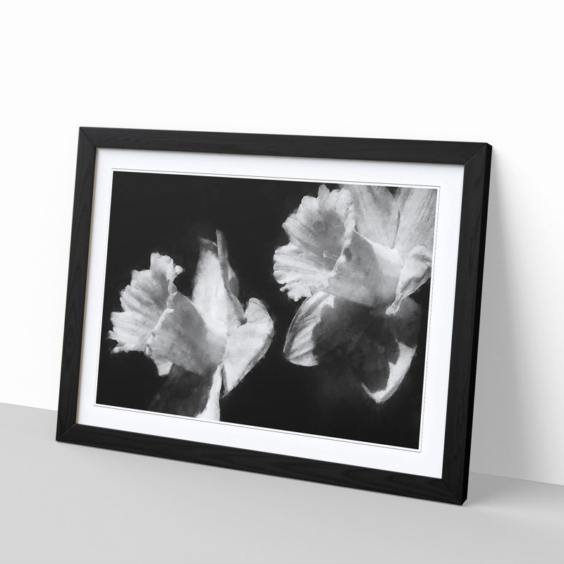 Pair Of Daffodils - Single Picture Frame Print on MDF, 33cm H x 45cm W x 2cm D, Black